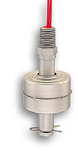 High Temperature NEMA-6 Liquid Level Switches All Stainless Steel ...